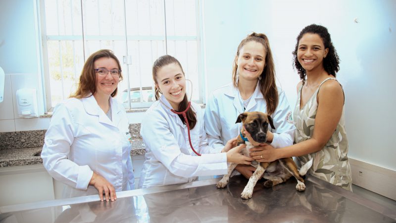 No mês do cachorro louco, o melhor mesmo é vacinar cães e gatos!
