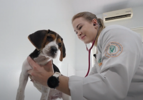 Animal Care valoriza trabalho do Hospital Veterinário com entrevistas, reportagens e muitas imagens bonitas