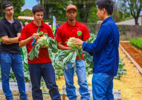 Produção da Smart Farm mostra potencial da inovação e capacidade dos alunos de Agronomia