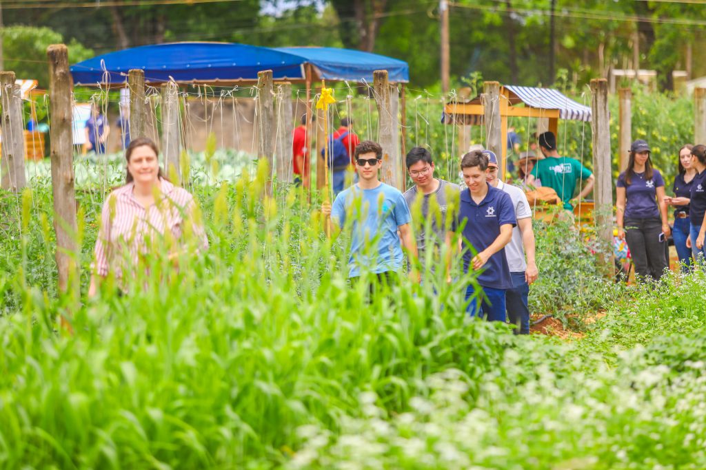 Produção da Smart Farm mostra potencial da inovação e capacidade dos alunos de Agronomia