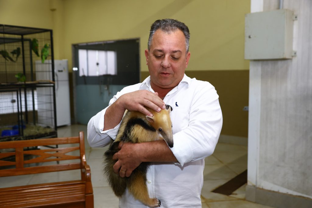 Conrado Scheller, Prefeito de Cambé e a Casquinha, Tamanduá. 