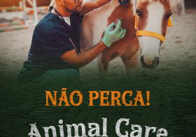 UTV e Hospital Veterinário estreiam domingo o programa Animal Care, na Rede Massa