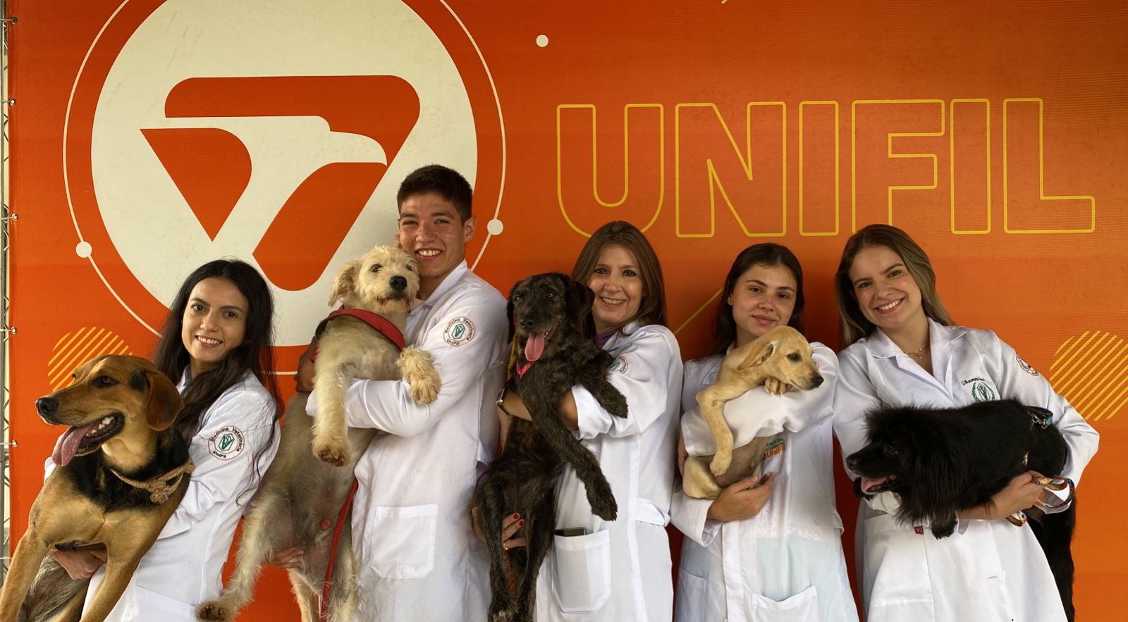 Feira de Adoção oferece cães e gatos castrados, vacinados e desvermifugados