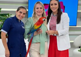 Coordenadora do HV explica na TV Tarobá como manter uma arara em casa