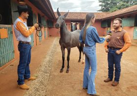 Trabalho do CMG UniFil será mostrado no Campo Vivo, da Band, com Luly Barbero