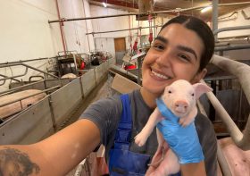 Da UniFil para a Dinamarca, Maria Eduarda amplia experiência profissional na Medicina Veterinária
