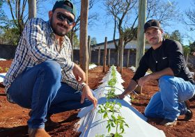 Agronomia prepara áreas do Campus Palhano para Smart Farm e Dia de Campo