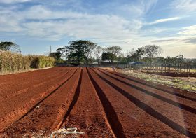 Smart Farm da UniFil e Cocriagro já tem as sete startups definidas